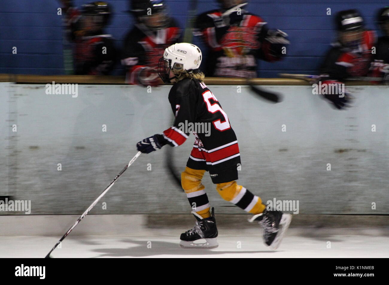 Young ice hockey player skating past team mates behind the boards Stock