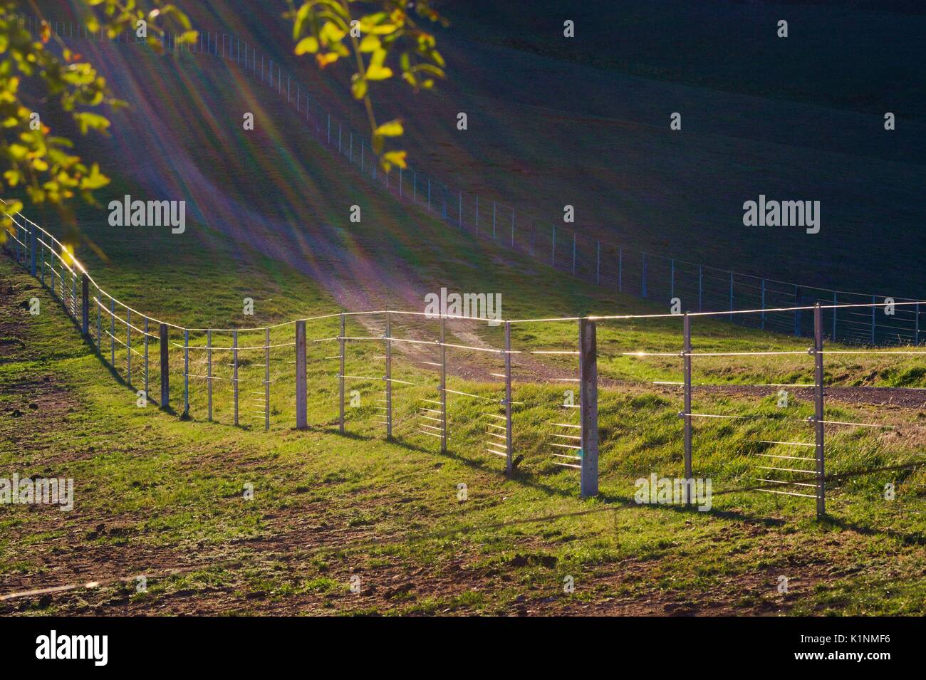 Farm road and fence, highlighted by sun with deep shadows in the back ground. Stock Photo