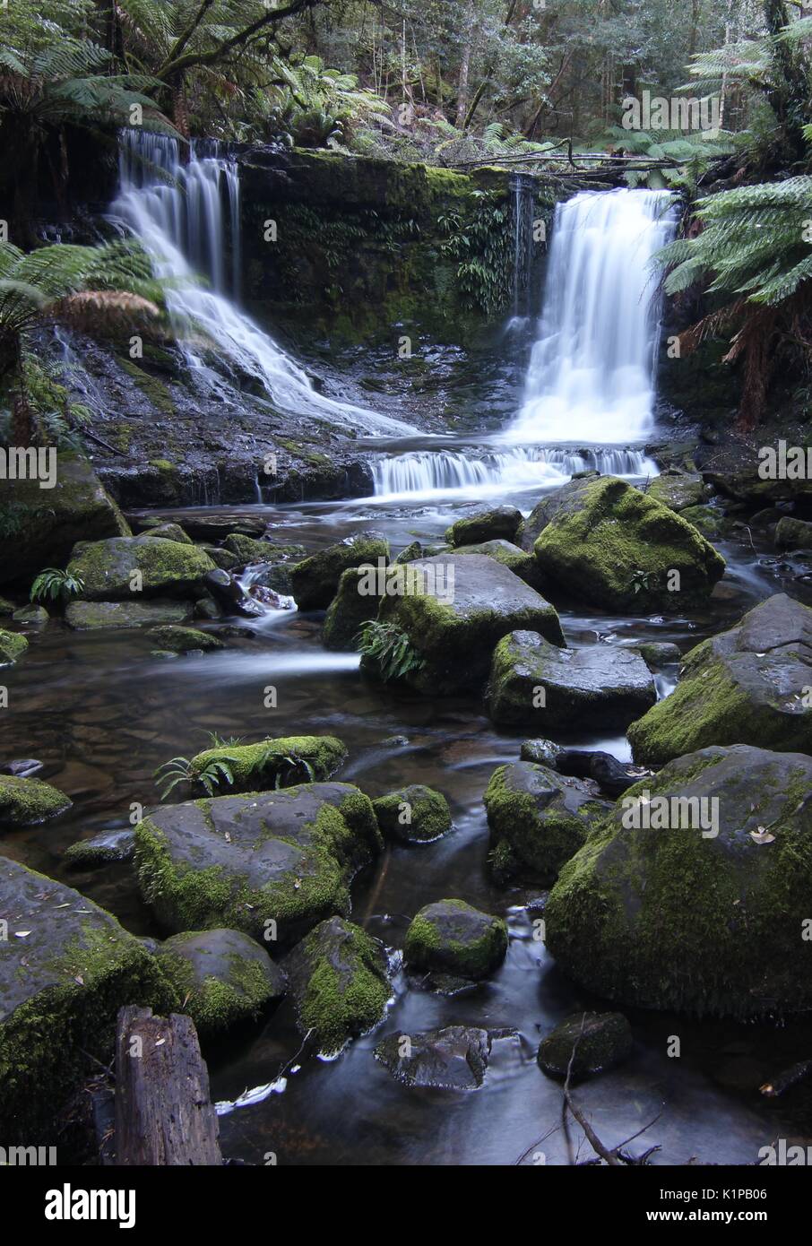 Horseshoe Falls near Russell Falls, Mt Field National Park, Tasmania
