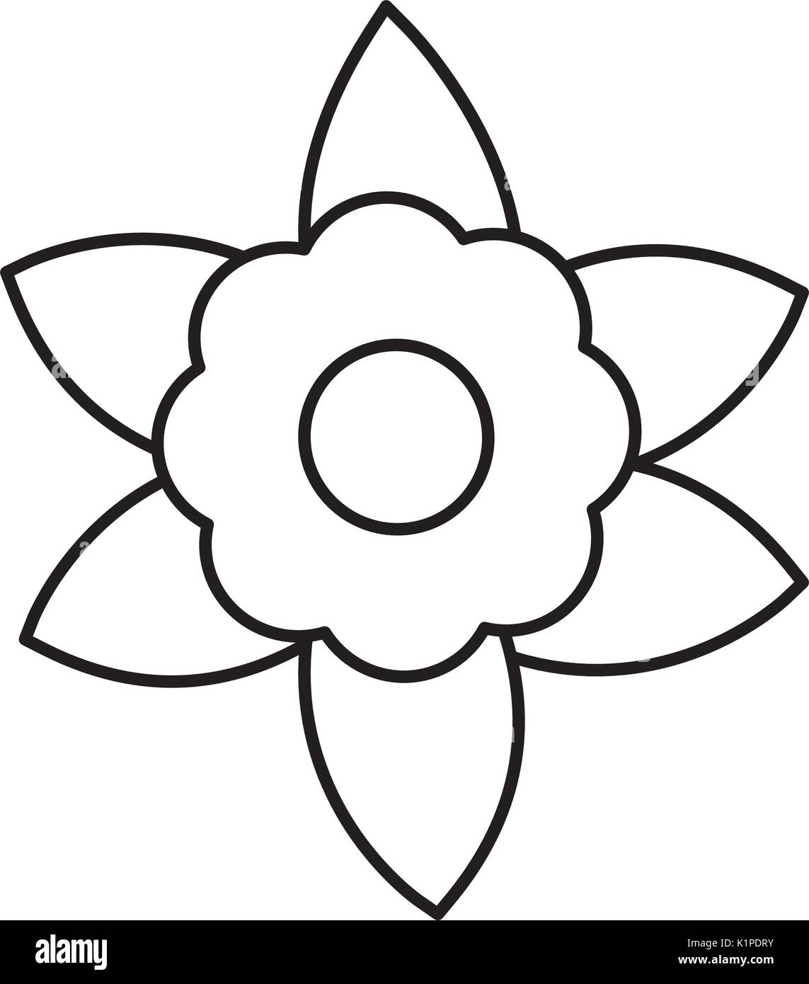 beautiful flower icon over white background vector illustration Stock ...