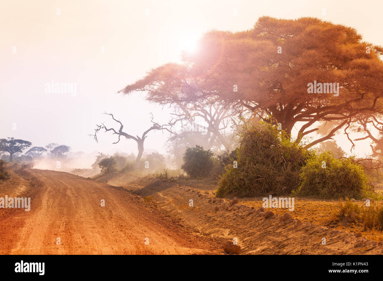 African savannah hot dry hi-res stock photography and images - Alamy