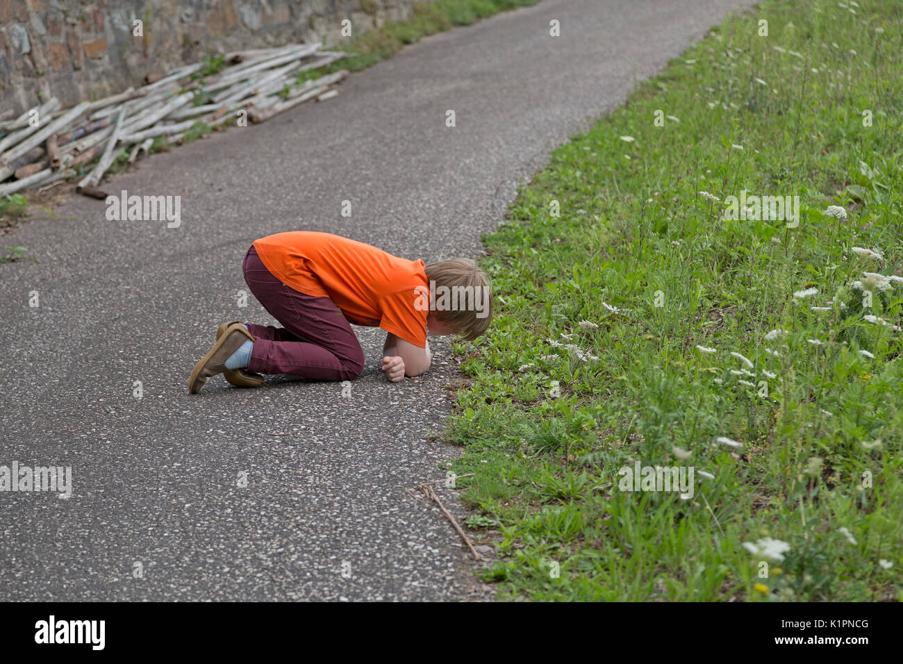 boy watching something at the side of the road with interest, Bremm, Moselle, Rhineland-Palatinate, Germany Stock Photo