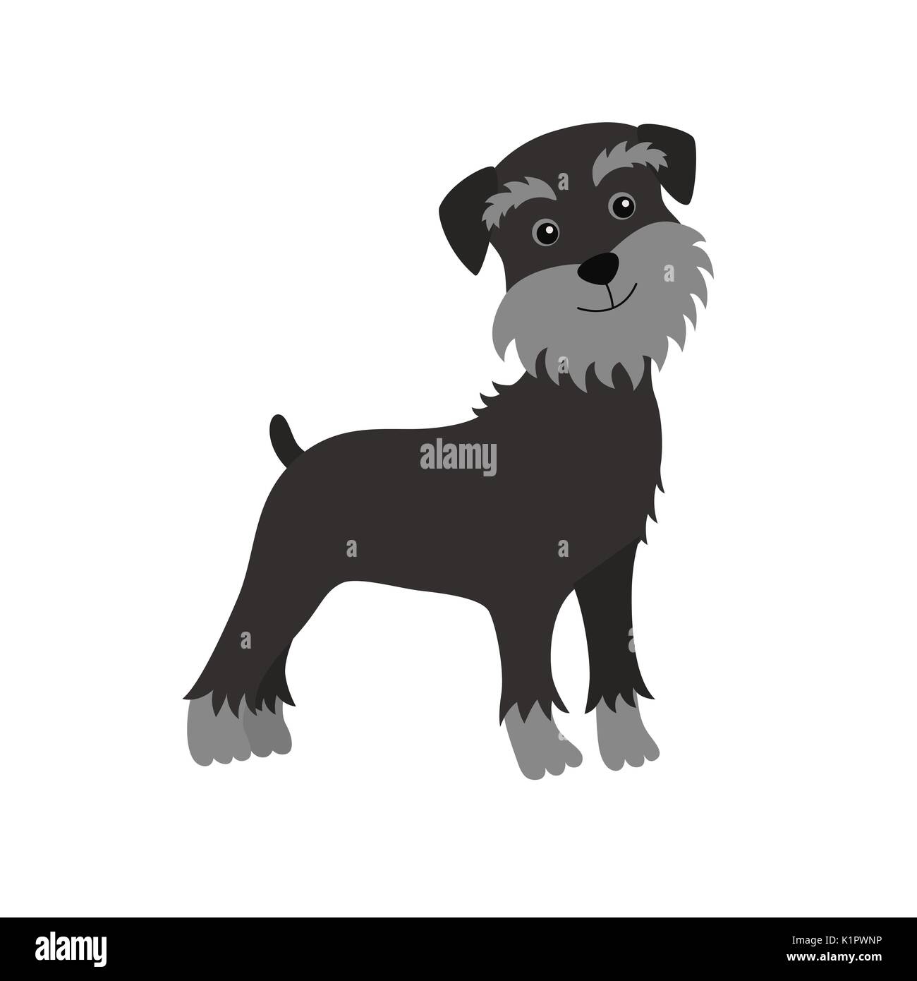 dog Schnauzer black Stock Vector