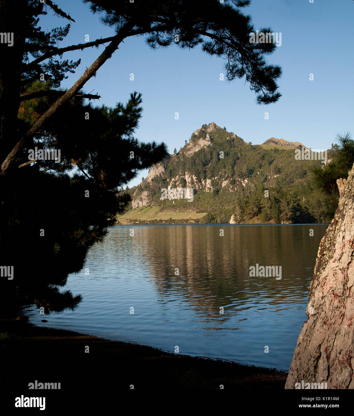 Lake Whakamaru on the Waikato River, New Zealand Stock Photo Alamy