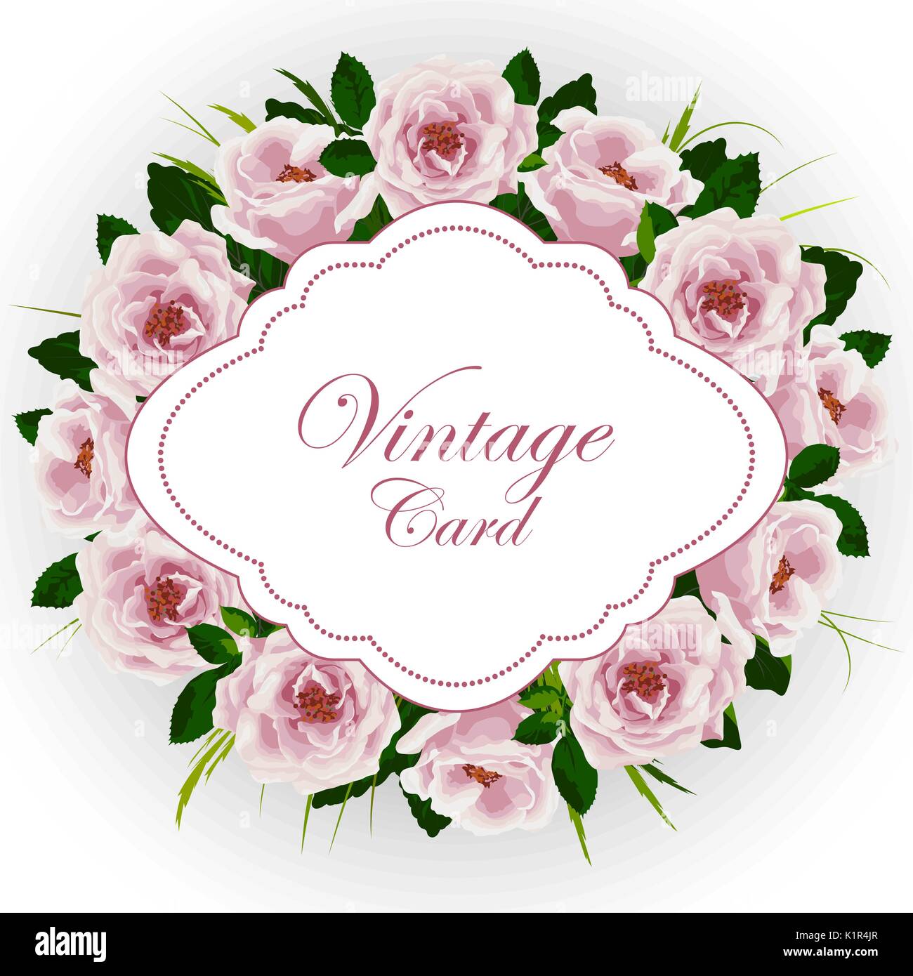 Vintage card with roses Stock Vector Image & Art - Alamy