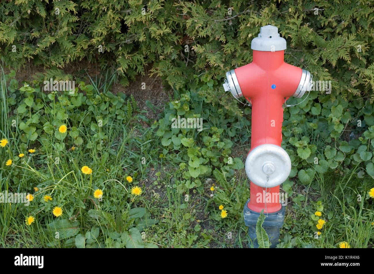 Fire hydrant cover hires stock photography and images Alamy