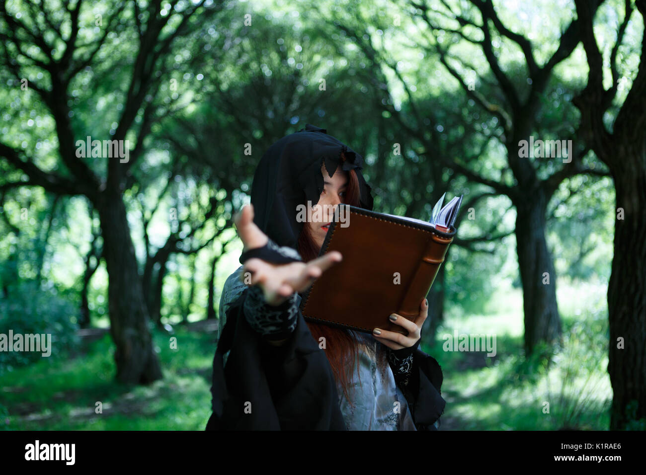 Picture of witch with spell book, outstretched hand in dark forest ...