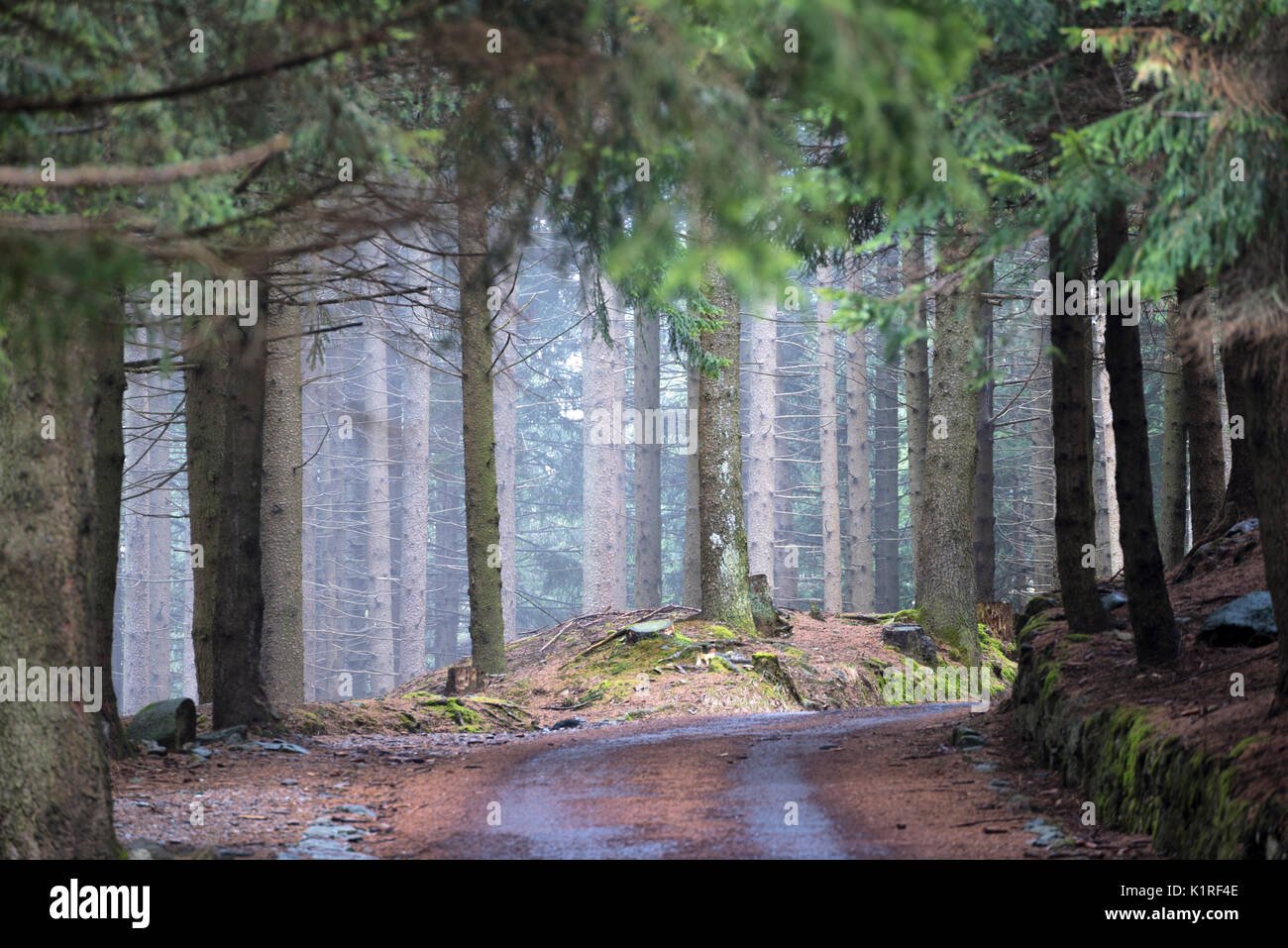 Trails in the park adamello hi-res stock photography and images - Alamy