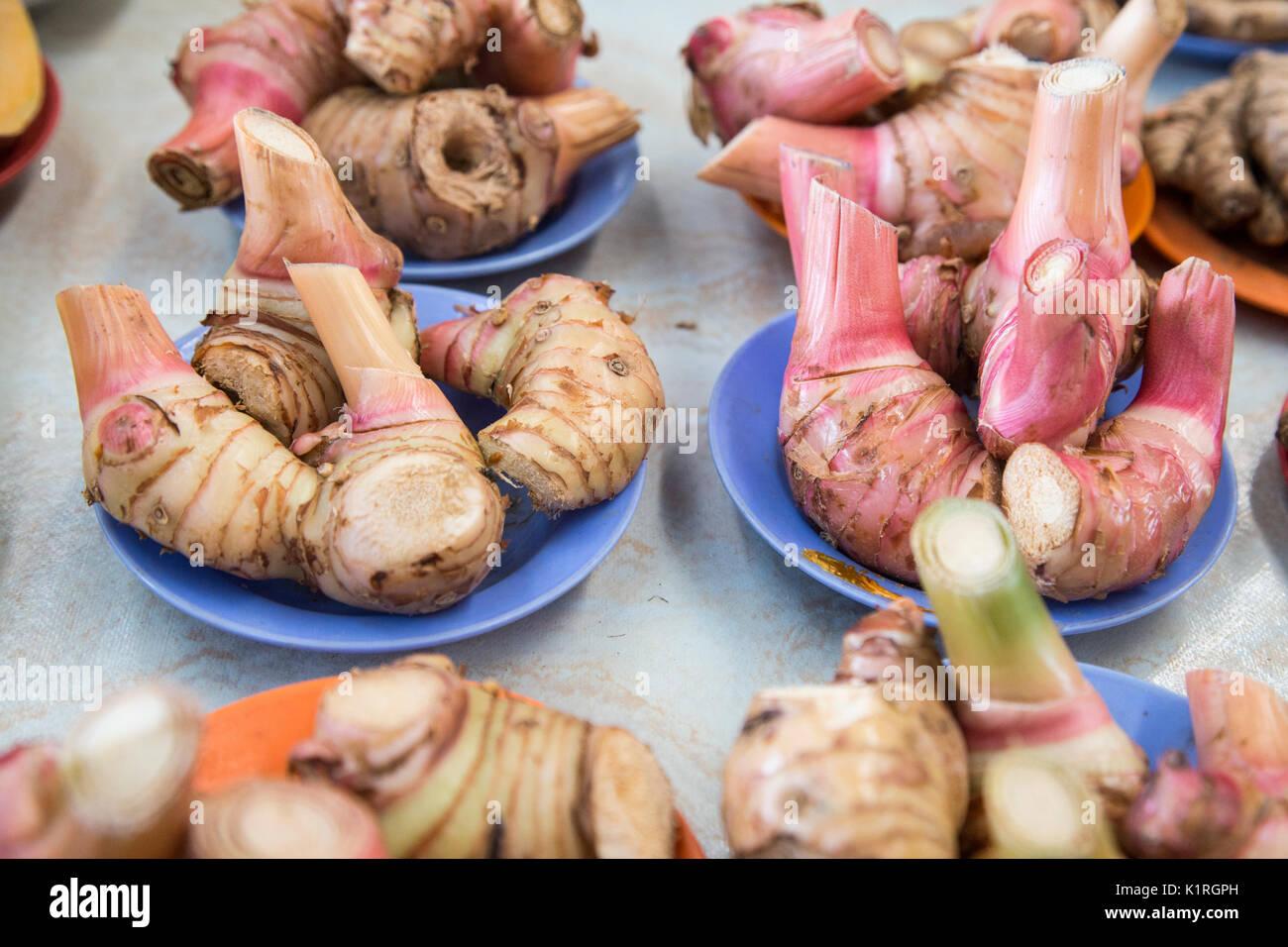 Close up of galangal root at wet market in Kuching, Malaysia Stock Photo
