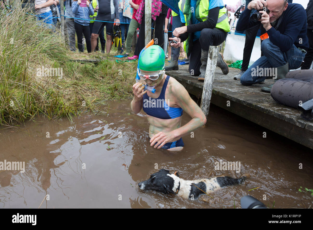 Angela Jones competes in the 2017 World Bogsnorkelling Championships at Waen Rhydd bog near Llanwrtyd Wells. Stock Photo