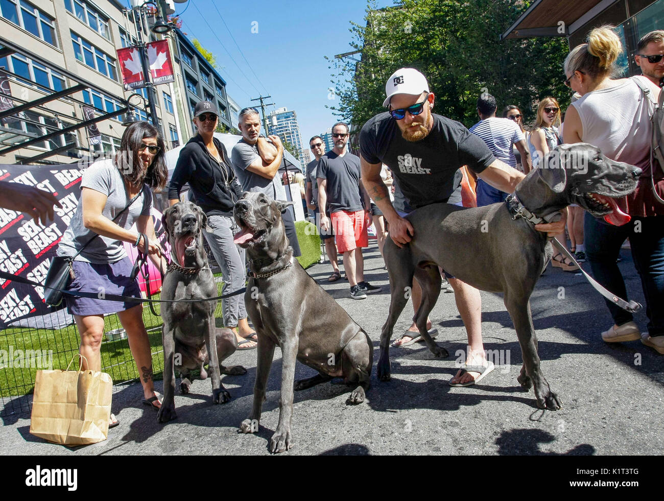 Vancouver, Canada. 27th Aug, 2017. People and their dogs take part in
