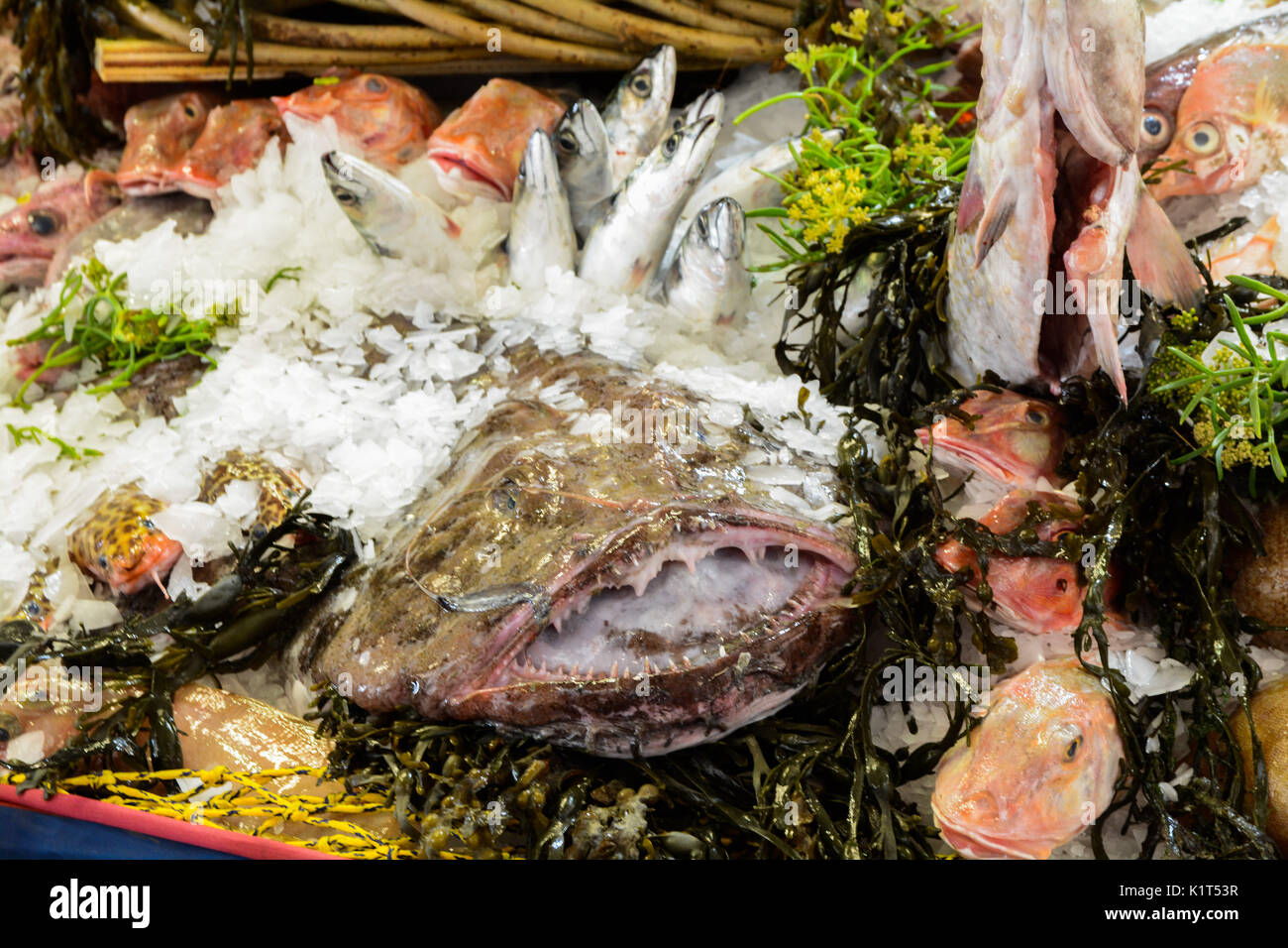 Newlyn Harbour, Cornwall, UK. 28th August 2017. Every bank holiday Newlyn harbour in transformed into a showcase for local produce, with fresh fish, cooking demonstrations and food staffls. Credit: Simon Maycock/Alamy Live News Stock Photo
