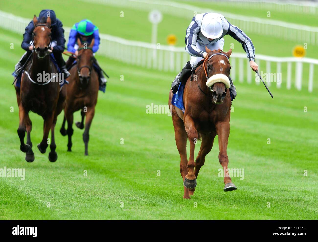 Tipperary crystal race day curragh racecourse hi-res stock photography ...