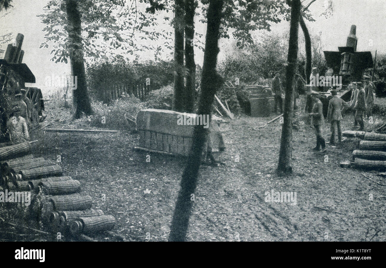 This photo taken in early World War I has the caption: Siege guns in action under cover of a forest. This picture shows two heavy German mortars firing on the French. The guns are levated at a high angle so that the heavy projecties fall almost vertically on the enemy's forts. Stock Photo