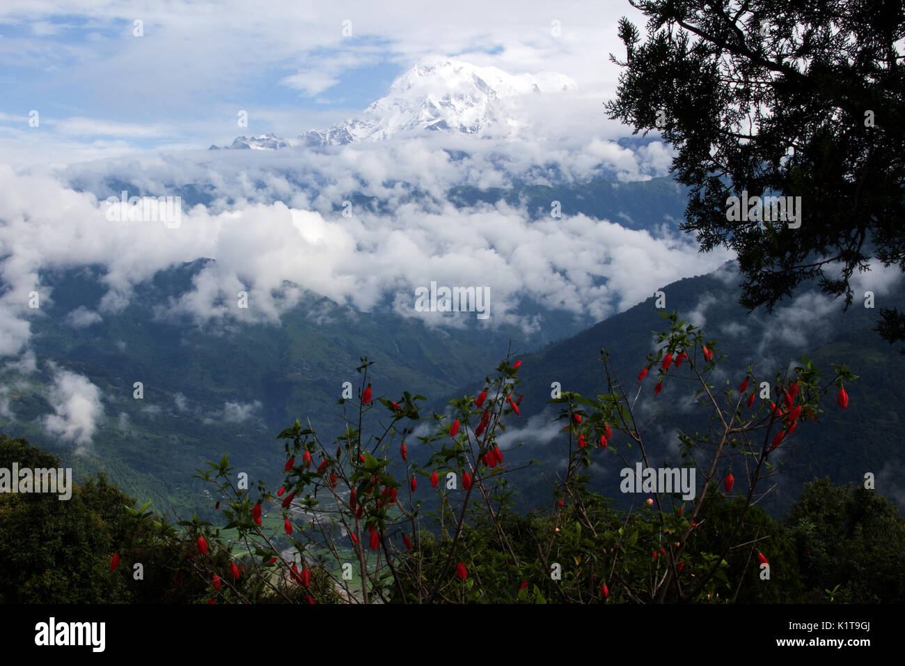 Annapurna IV as the clouds cleared, Annapurna  Range, Himalayas Nepal Stock Photo