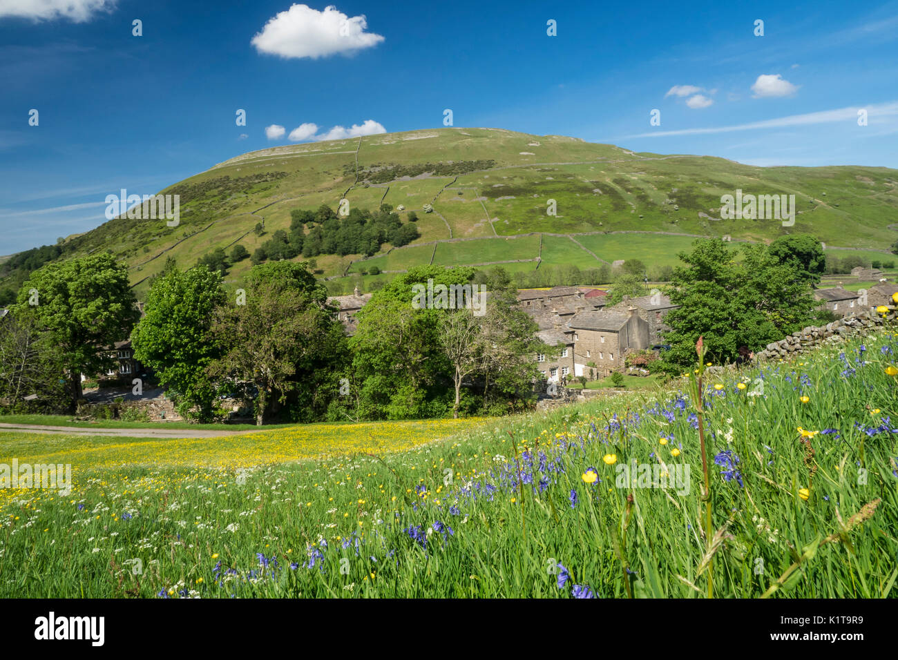 Wild Flower Meadows, Swaledale, Yorkshire Dales National Park