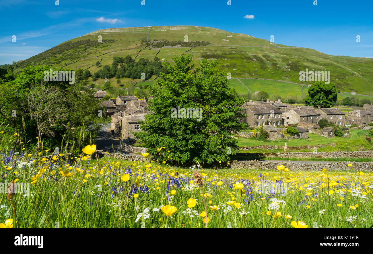 Wild Flower Meadows, Swaledale, Yorkshire Dales National Park