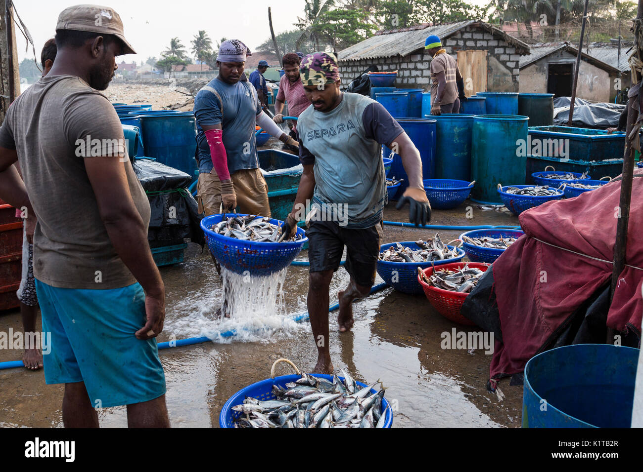 Prepare fish hi-res stock photography and images - Alamy