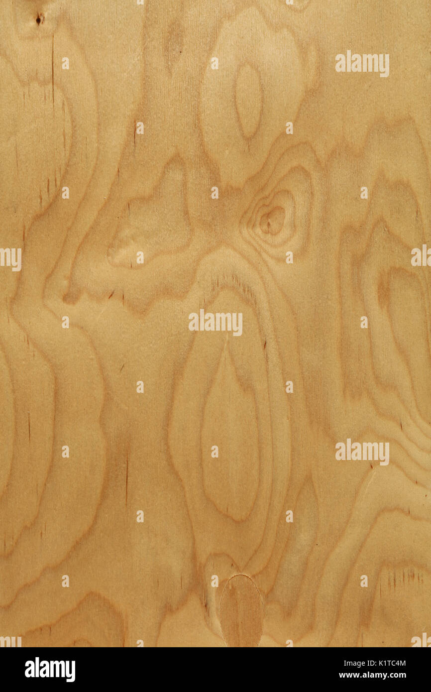 Rough unpainted beige plywood wood grain background texture close up