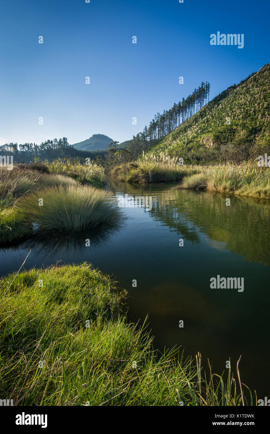 Landscape photo of Tairua River, Coromandel Peninsula, New Zealand Stock Photo