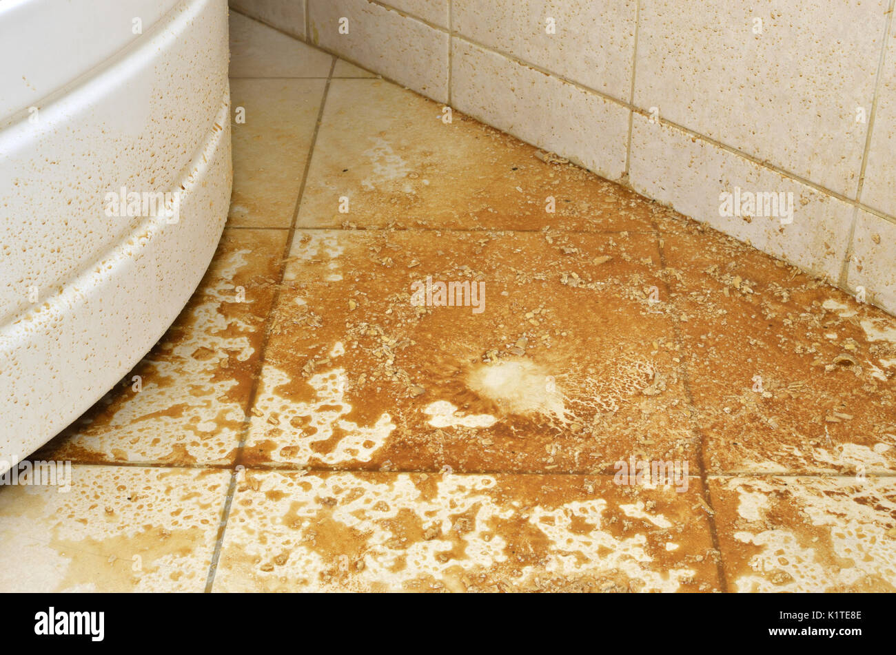 Water with scale and deposits from a boiler spilled on a bathroom floor Stock Photo