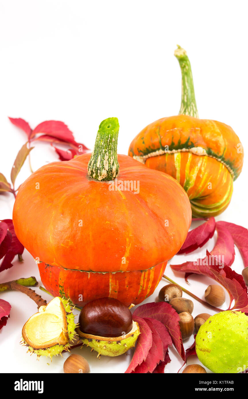 Autumn fruit and vegetable products on a pile Stock Photo