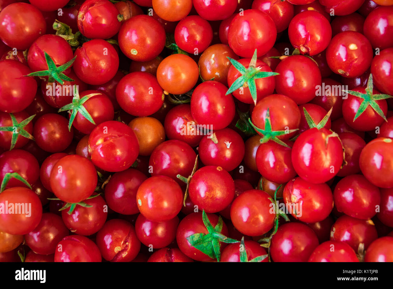 Tomato texture. Tomato background. Tomato with hull ,ready for the sauce Stock Photo