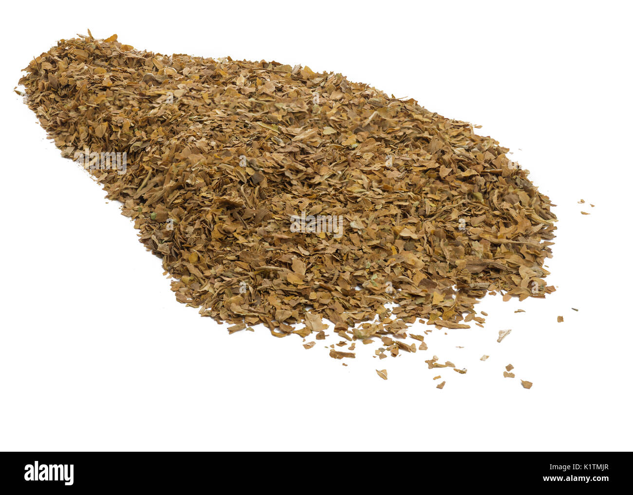 unprocessed tobacco leaf close up of unprocessed tobacco leaves on a white isolated background Stock  Photo