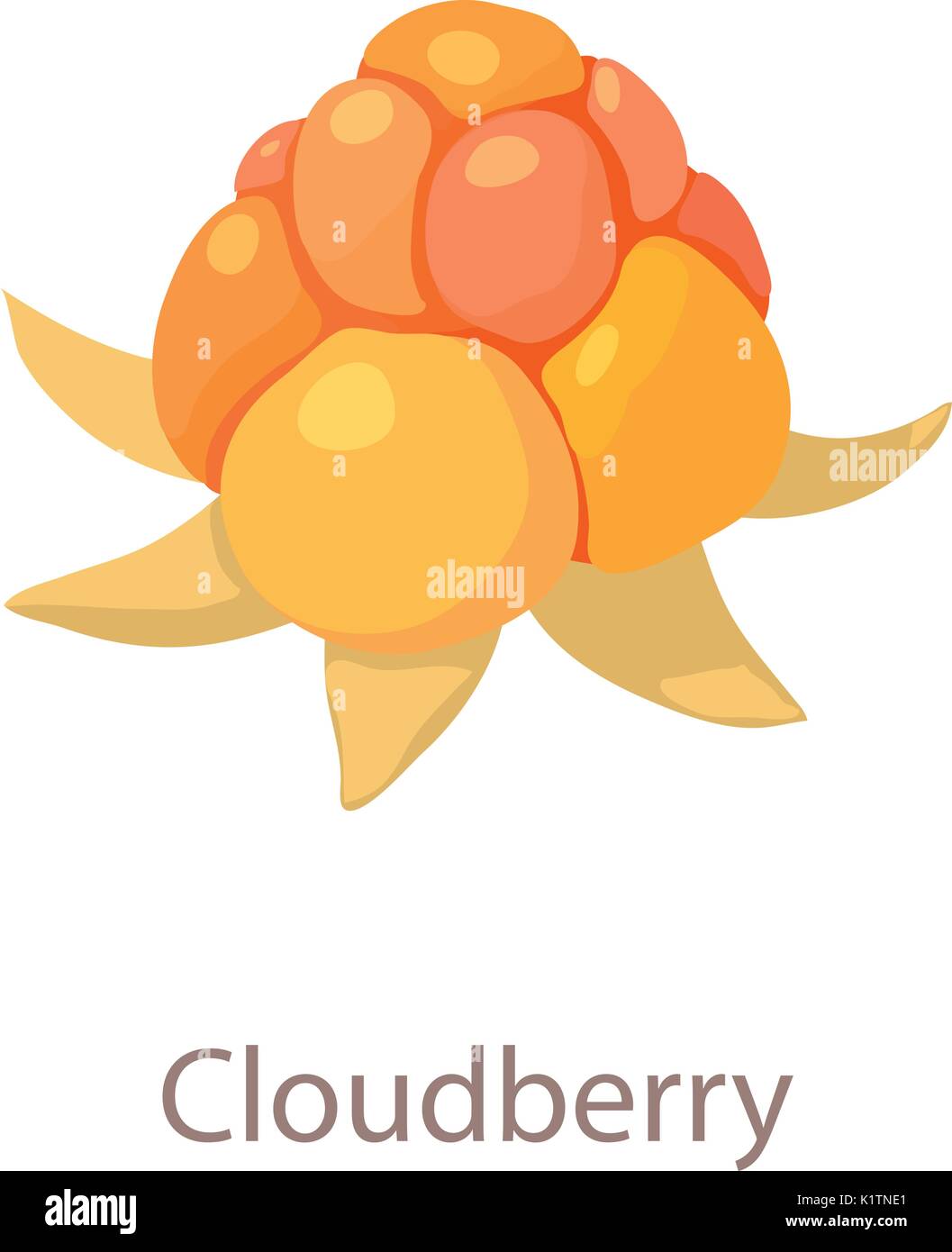 Cloudberry icon, isometric 3d style Stock Vector