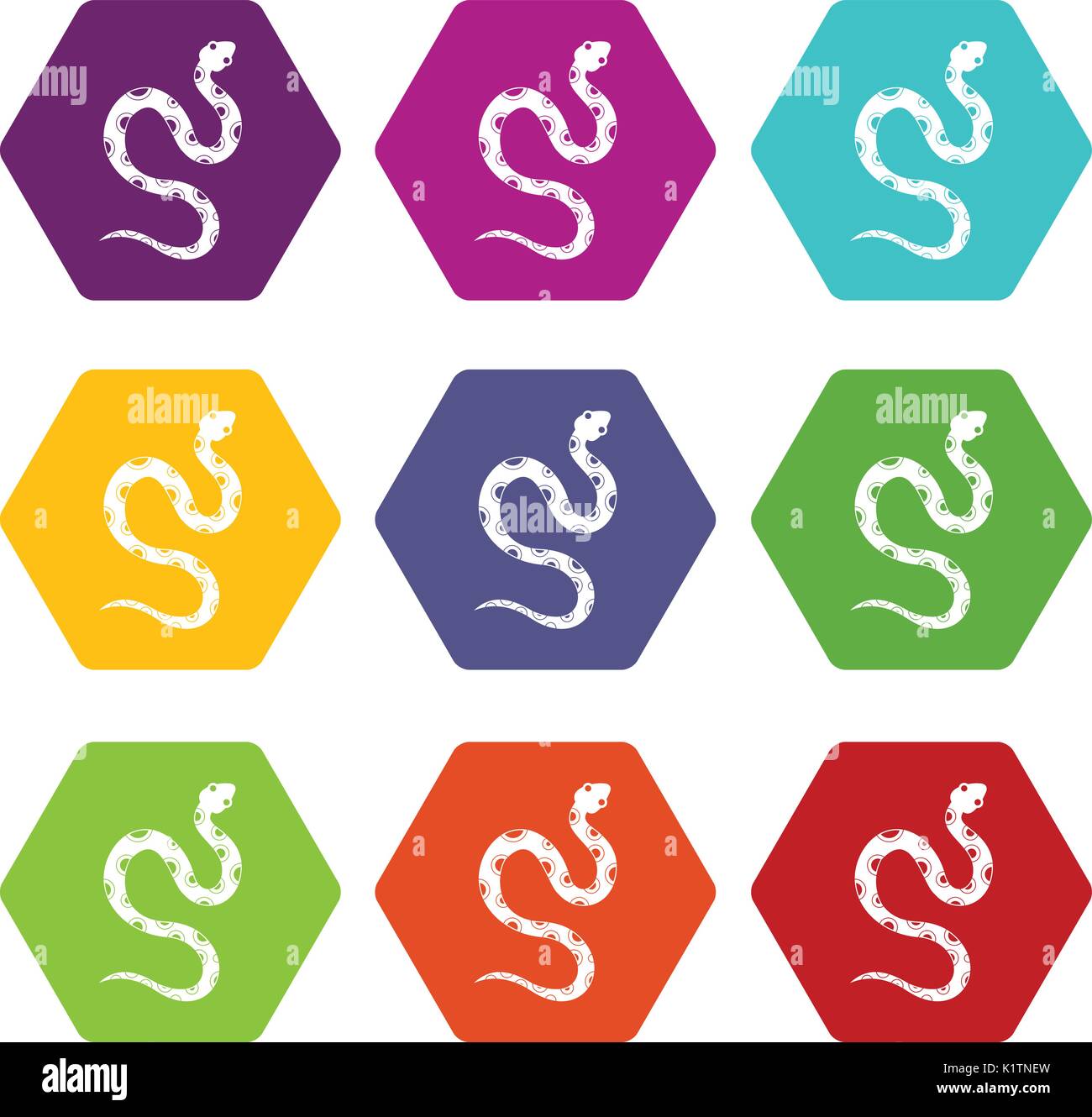 Venomous snake icon set color hexahedron Stock Vector Image & Art - Alamy