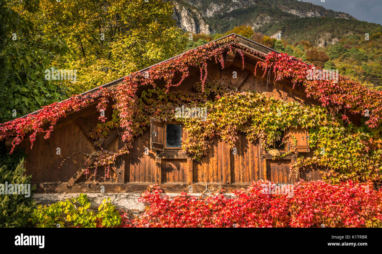 Autumn leaves covering the picturesque small house Stock Photo