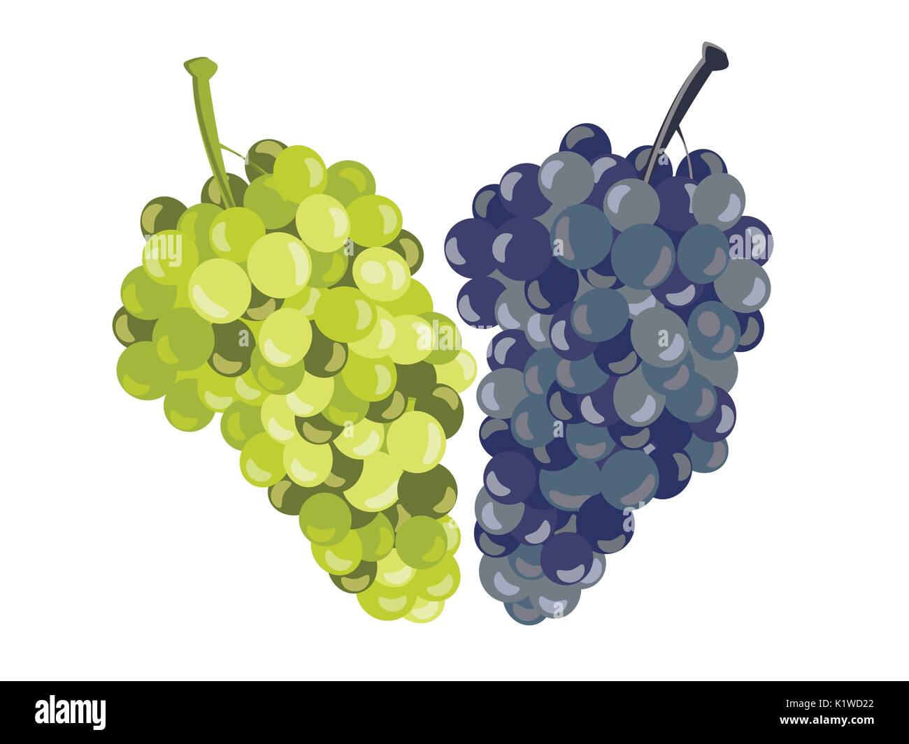 Realistic grapes isolated on white background. Vector illustration. Stock Vector