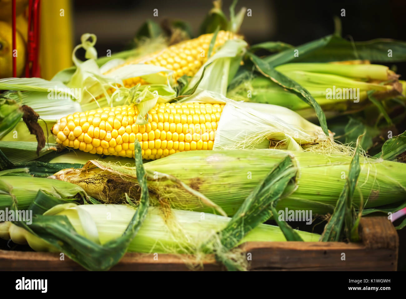 Corn on the cob, street market harvest Stock Photo Alamy