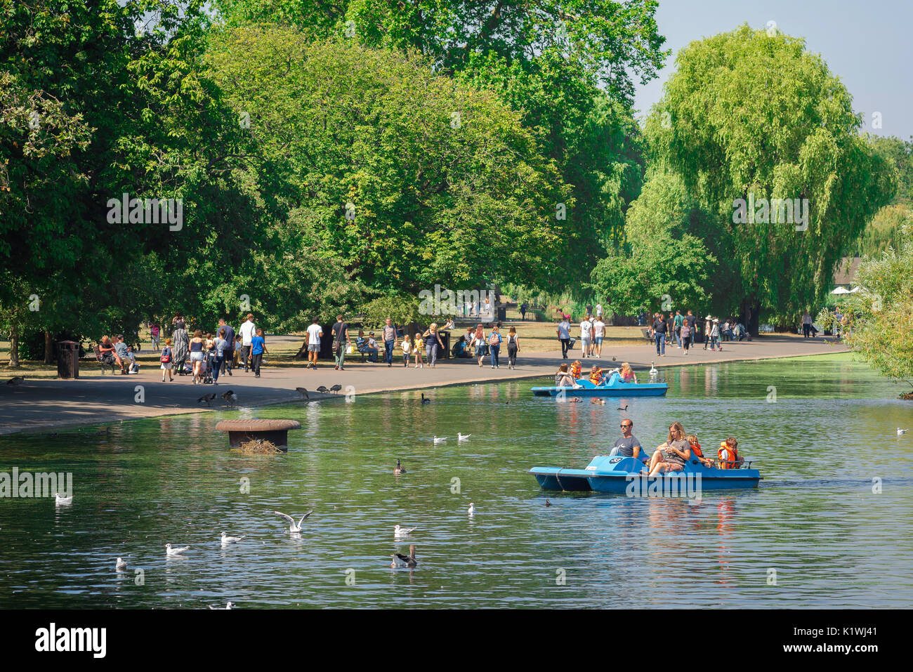 Family London park, a family in a pedalo enjoy a summer afternoon on