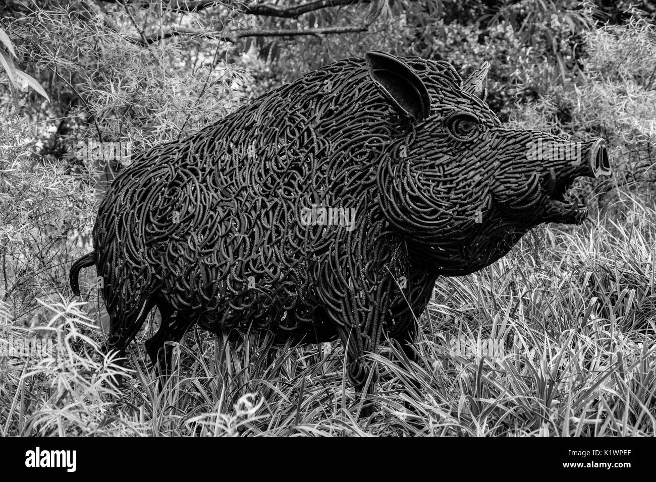 Wild boar sculpture at Pensthorpe Natural Park, near Fakenham, Norfolk, UK Stock Photo