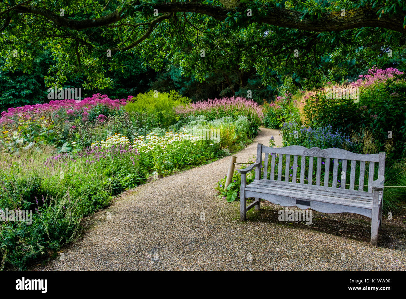 The Millennium Garden at Pensthorpe Natural Park, near Fakenham, Norfolk, UK Stock Photo