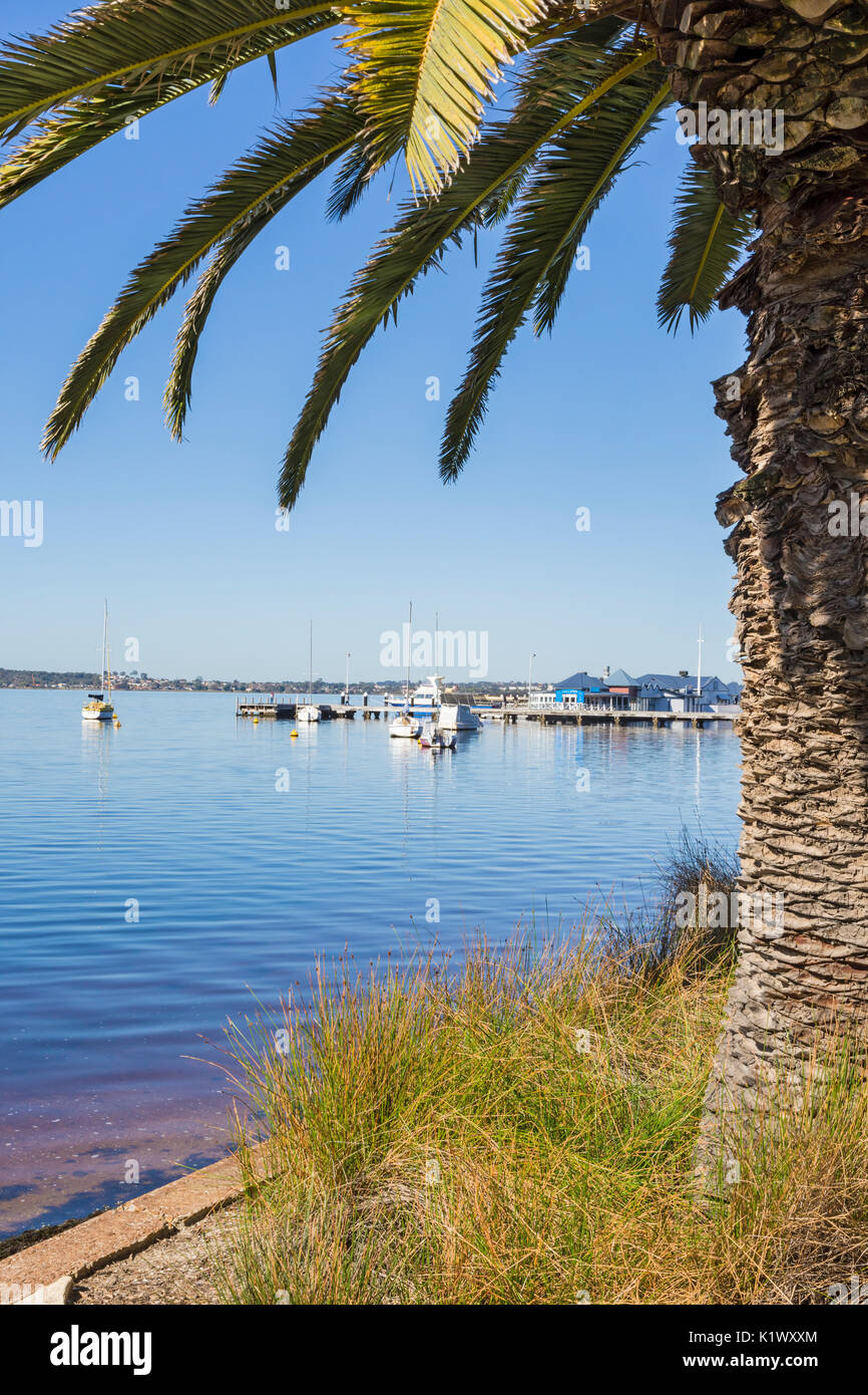 Palm framed Swan River views looking towards Jo Jo's jetty from the JH Abrahams reserve foreshore, Crawley, Perth, Western Australia Stock Photo