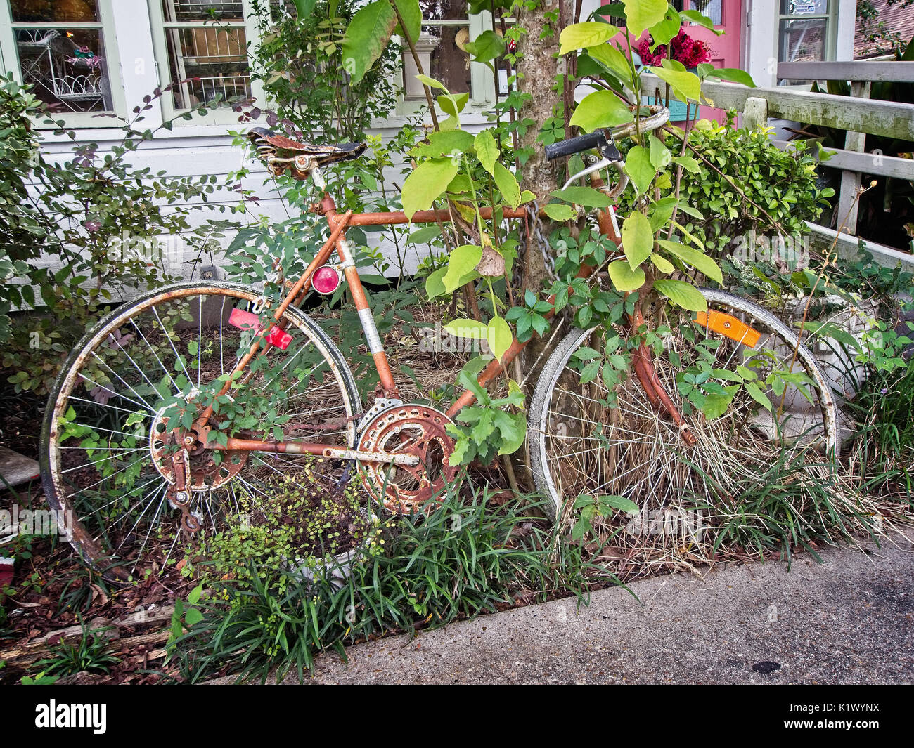 Spring, TX USA - July 12, 2017  -  Old Bike in the Weeds Stock Photo