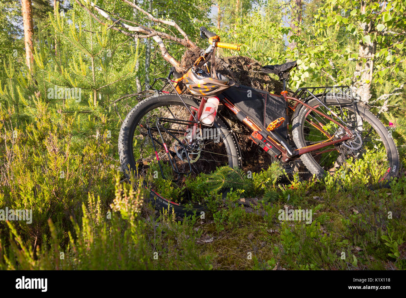 Taipalsaari, Finland – July 1, 2015: Adventure bike with mountain bike and touring bike capabilities in the lush forest in Eastern Finland. Stock Photo
