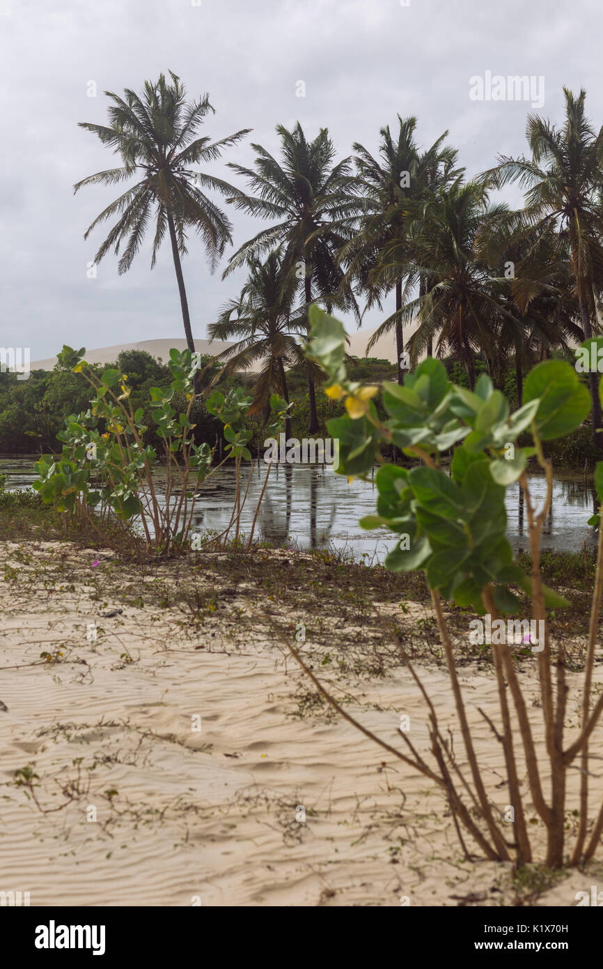 Jericoacoara, Ceará, Brasil Stock Photo