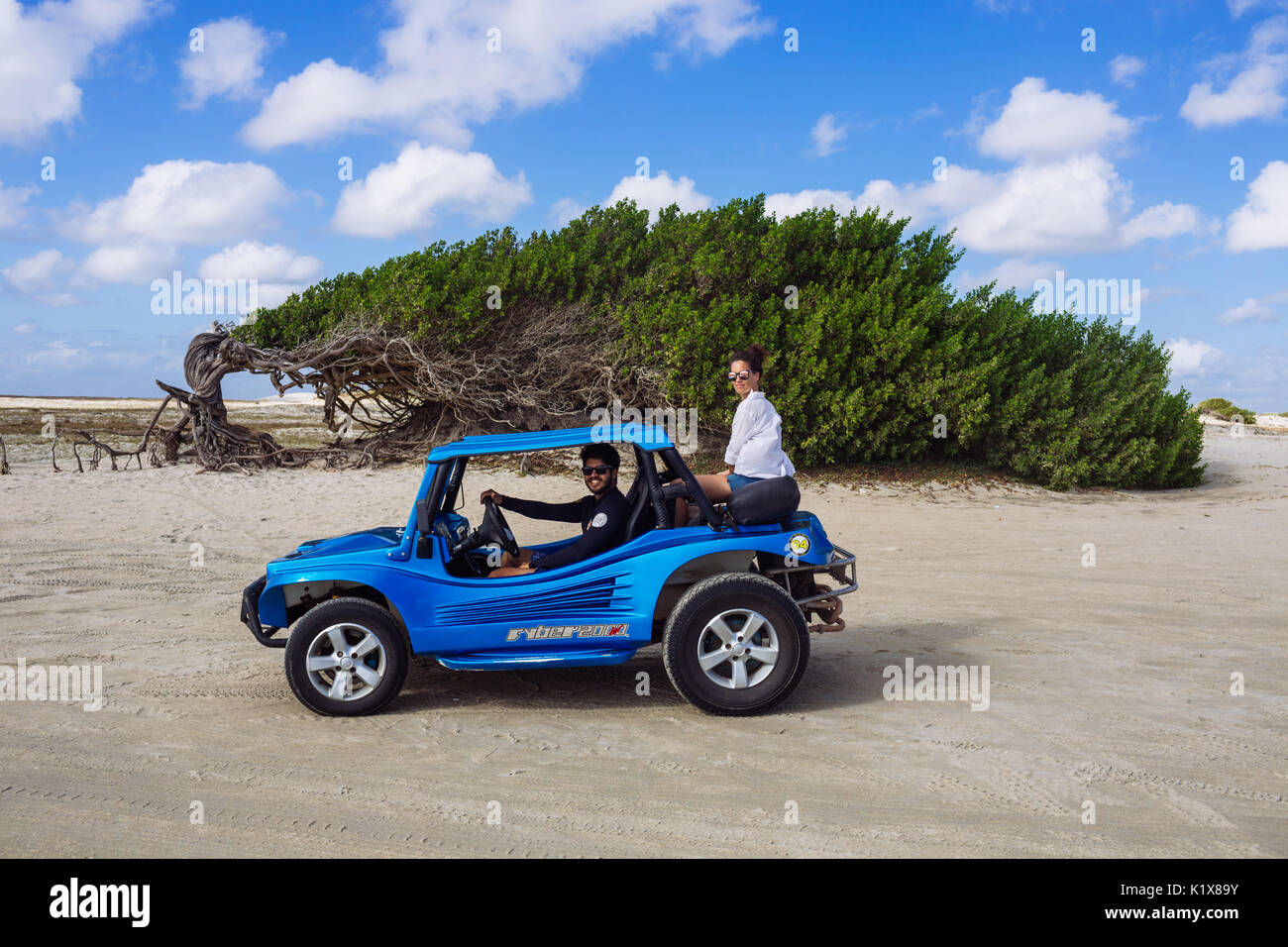 A Buggie Driver Posing With A Female Tourist Near The Lazy Tree Stock Photo Alamy