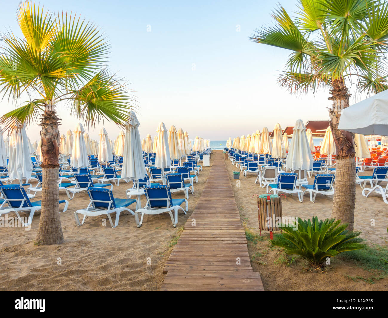 sandy beach to sea with wooden footpath, sun beds, umbrellas, palm trees, Turkey, Side resort Stock Photo