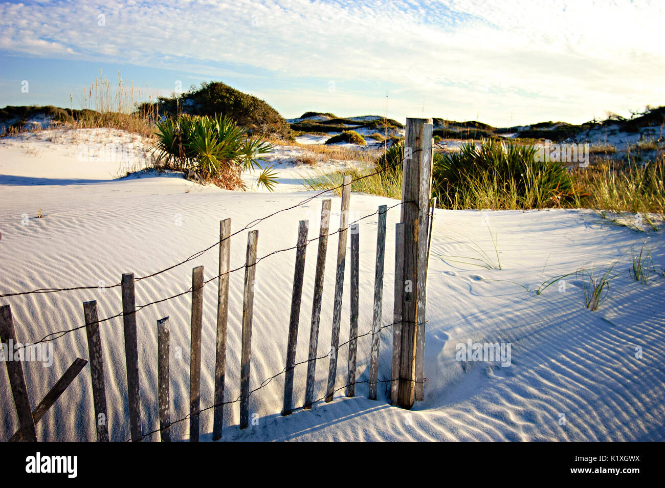 Natural dunes on Florida's Gulf Coast. Stock Photo