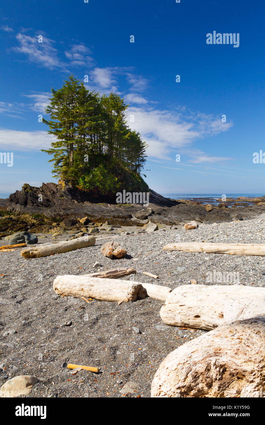 Coastal landscape at Botanical Beach in the Juan de Fuca Provincial Park near Port Renfrew on Vancouver Island, British Columbia, Canada. Stock Photo