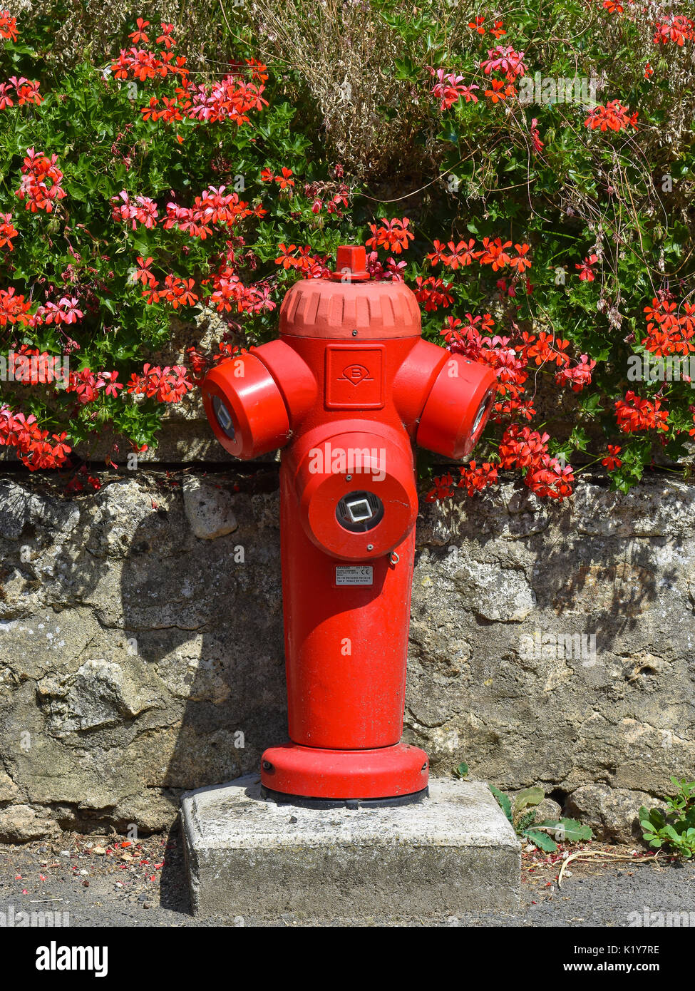 Red fire hydrant and geraniums, France. Stock Photo