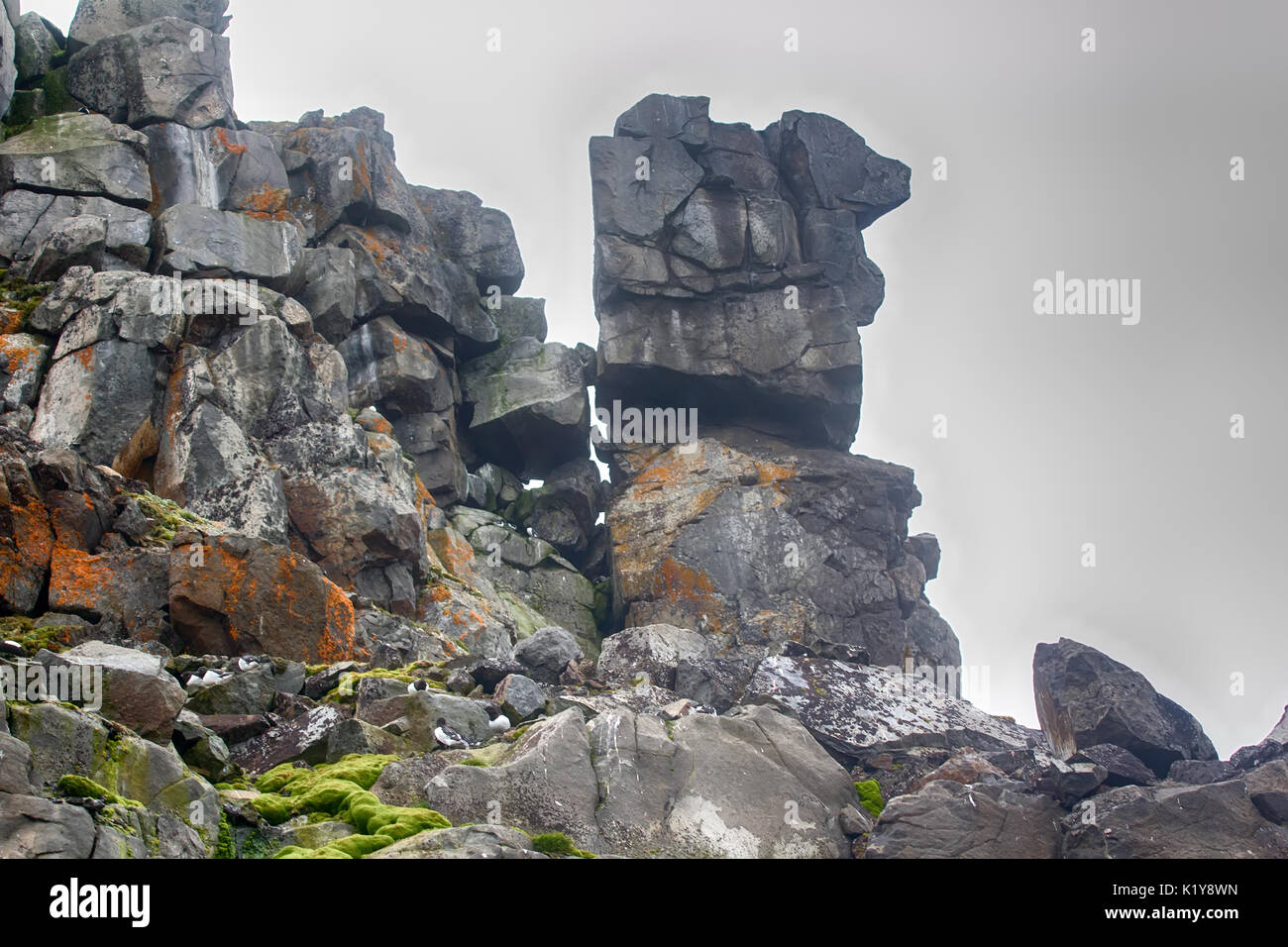 Harsh appeal of Arctic. Columnar rocks, cliffs, glaciers and snowfields Rudolf island, Franz-Joseph Land. Red spots and streaks on snow is colony of C Stock Photo