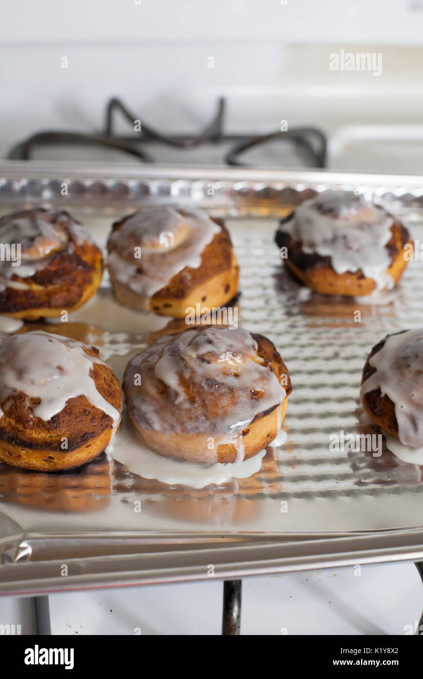 Fresh, iced cinnamon rolls on a baking sheet Stock Photo