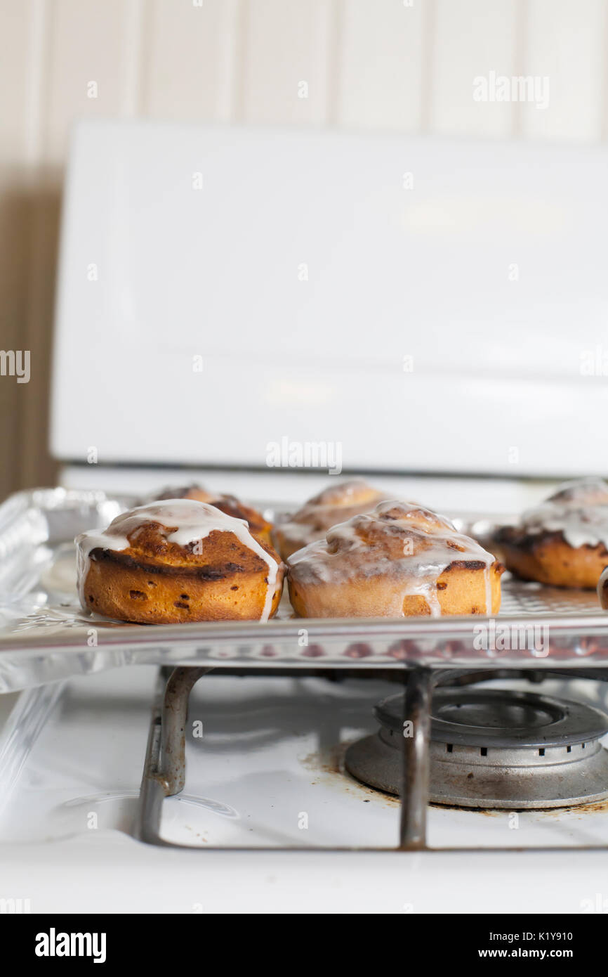 Fresh, iced cinnamon rolls on a baking sheet Stock Photo