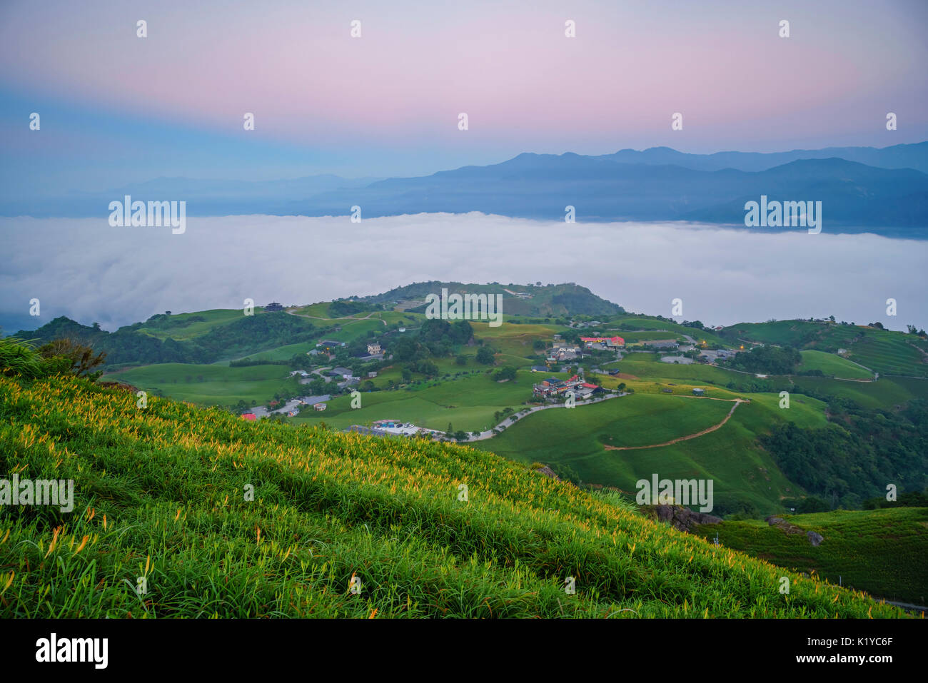 Sunrise of the famous and beautiful Daylily flower at sixty Stone Mountain in Hualien, Taiwan Stock Photo