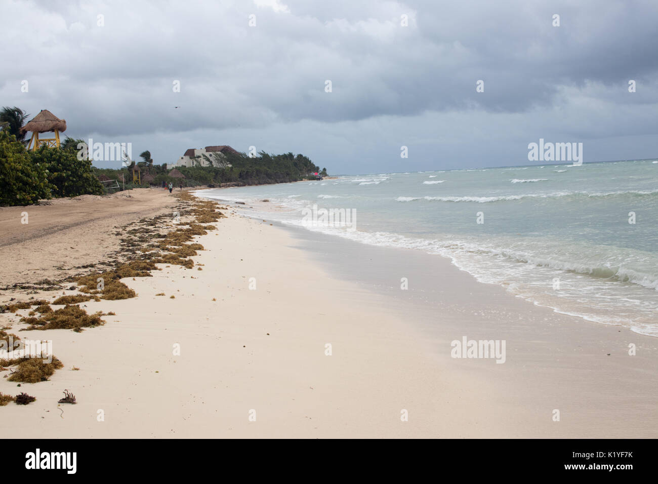 Tropical Caribbean beach with stormy sky as Tropical Storm Harvey passes. Stock Photo